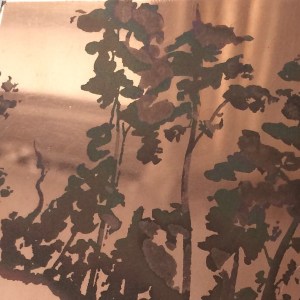 copper plate 2